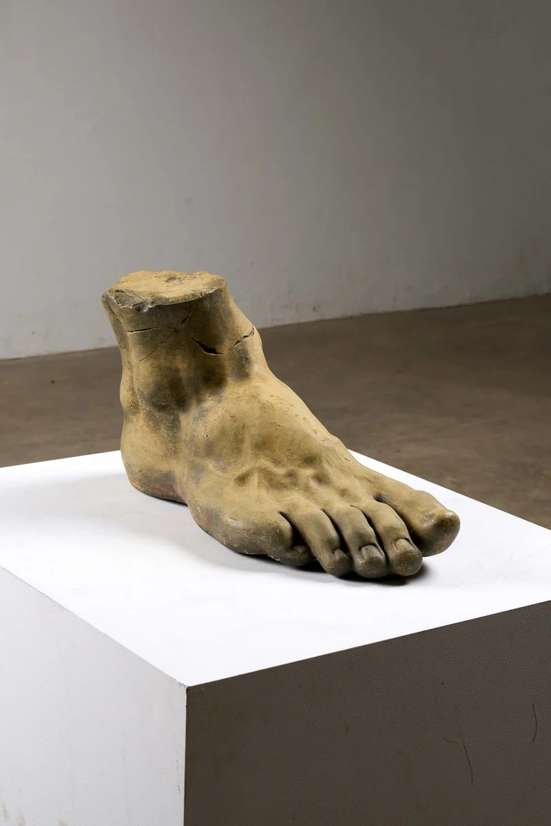 Oversized Studio Foot Model