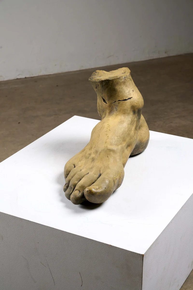 Oversized Studio Foot Model