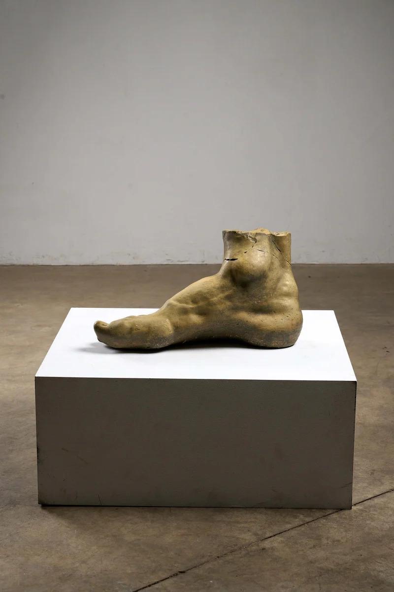 Oversized Studio Foot Model