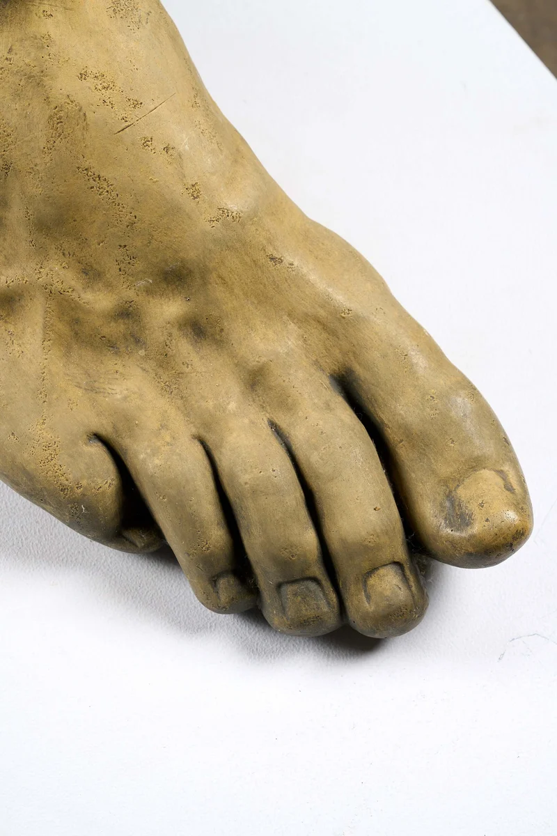 Oversized Studio Foot Model