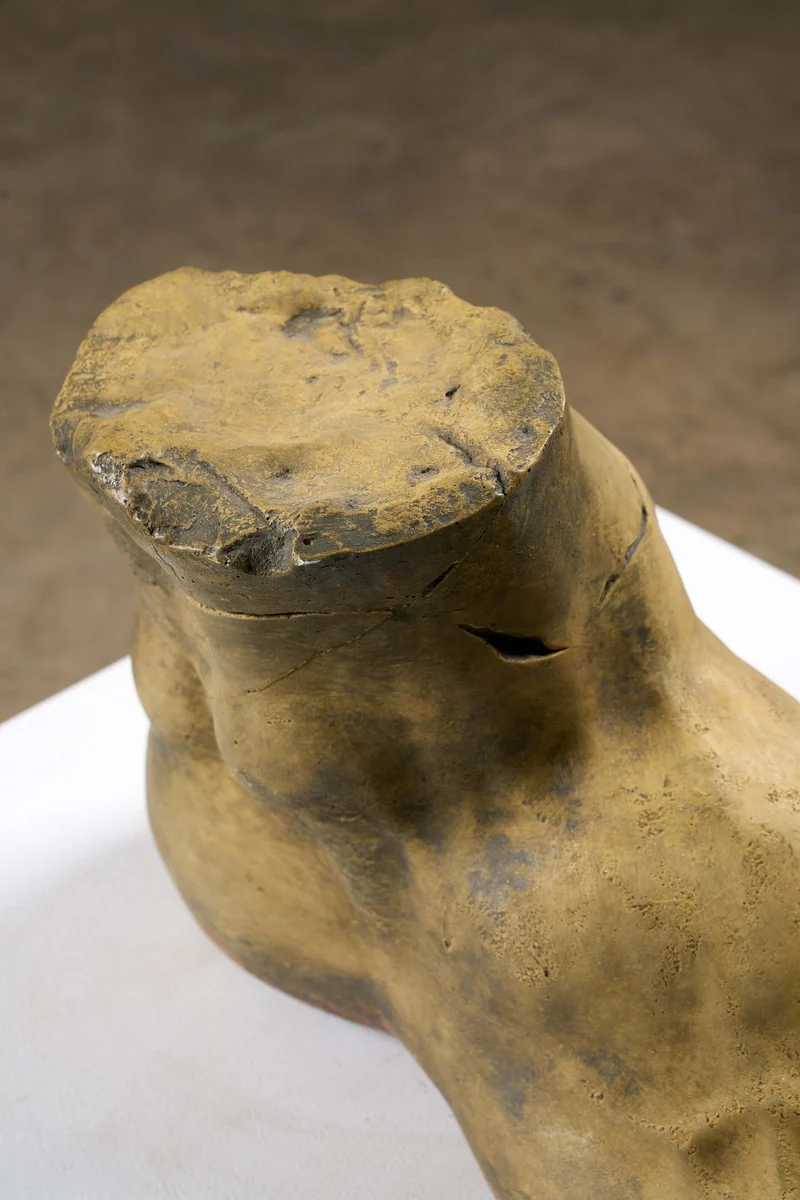 Oversized Studio Foot Model
