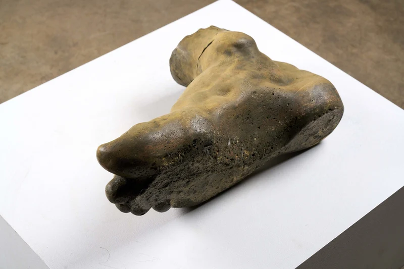 Oversized Studio Foot Model