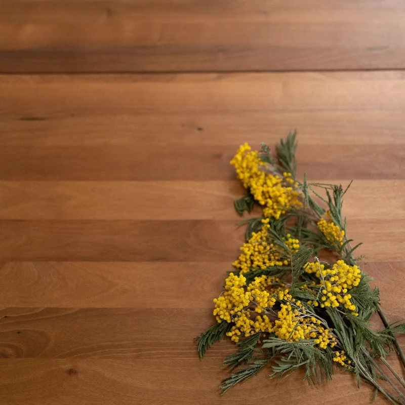 Table à manger extensible en bois massif Suède – NordicStory