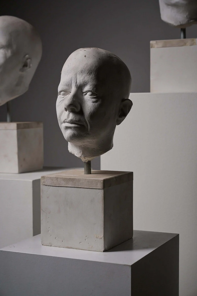 Set of Four Plaster Heads on Plinths