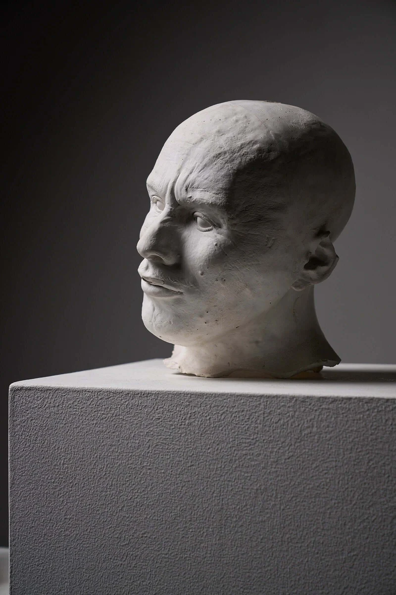 Set of Two Plaster Heads on Plinths