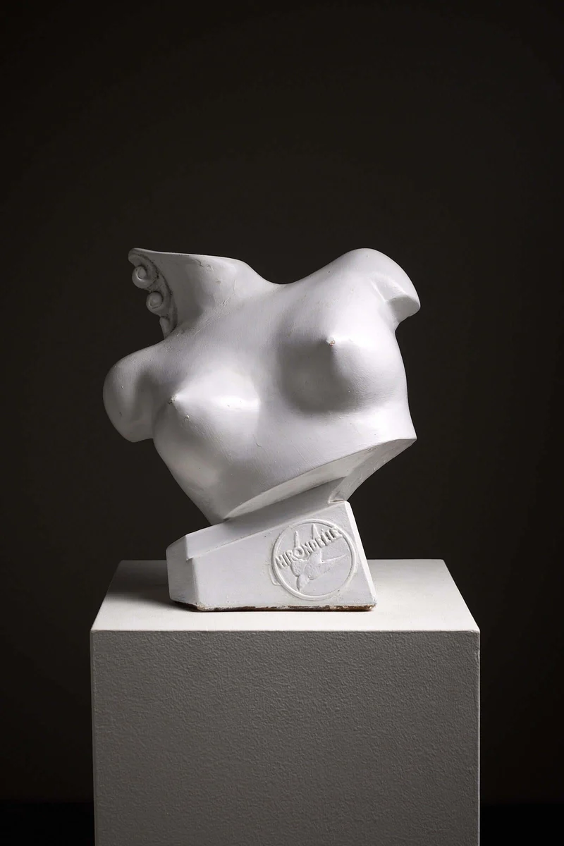 Mid-Century Plaster Display Busts by Hirondelle