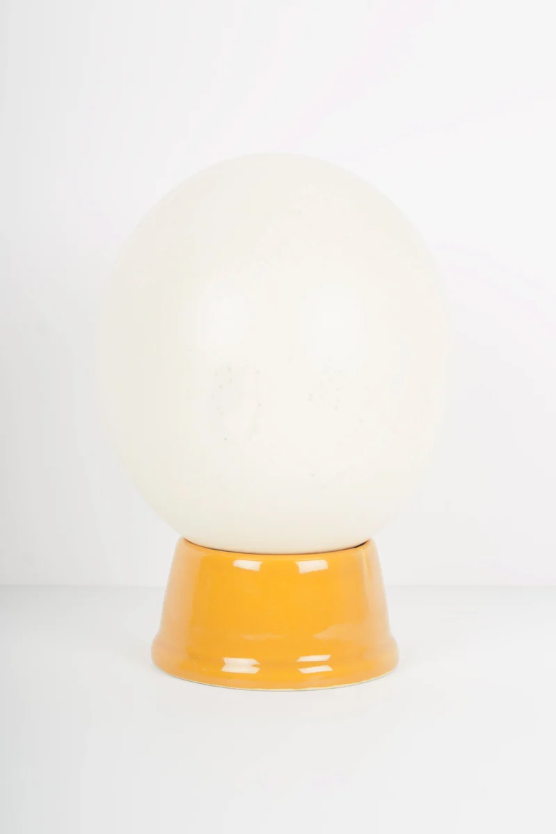 Oeuf d’autruche