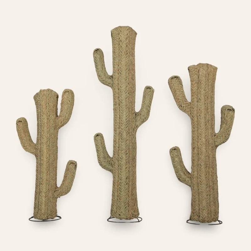 Cactus sparte végétal en 6 tailles