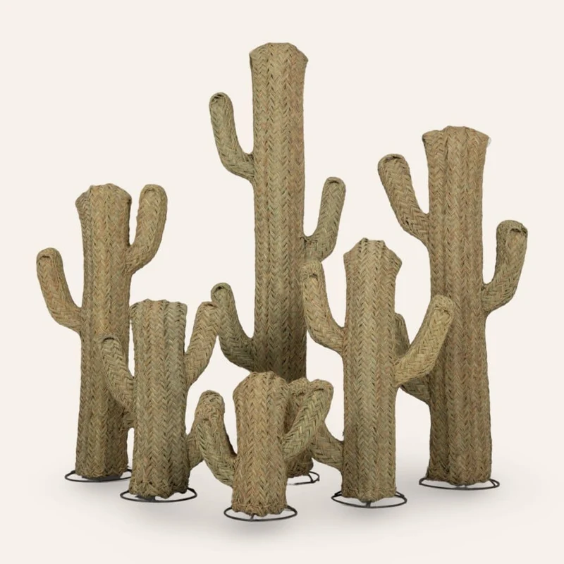 Cactus sparte végétal en 6 tailles