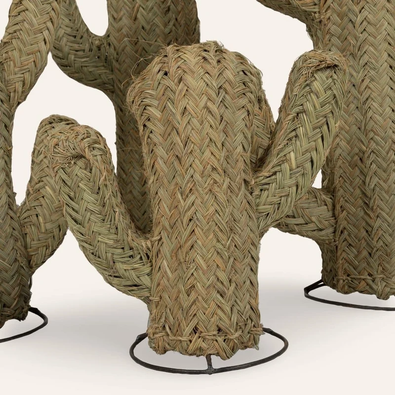 Cactus sparte végétal en 6 tailles