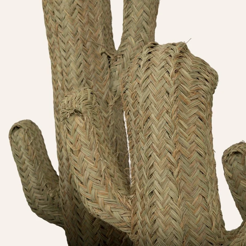 Cactus sparte végétal en 6 tailles