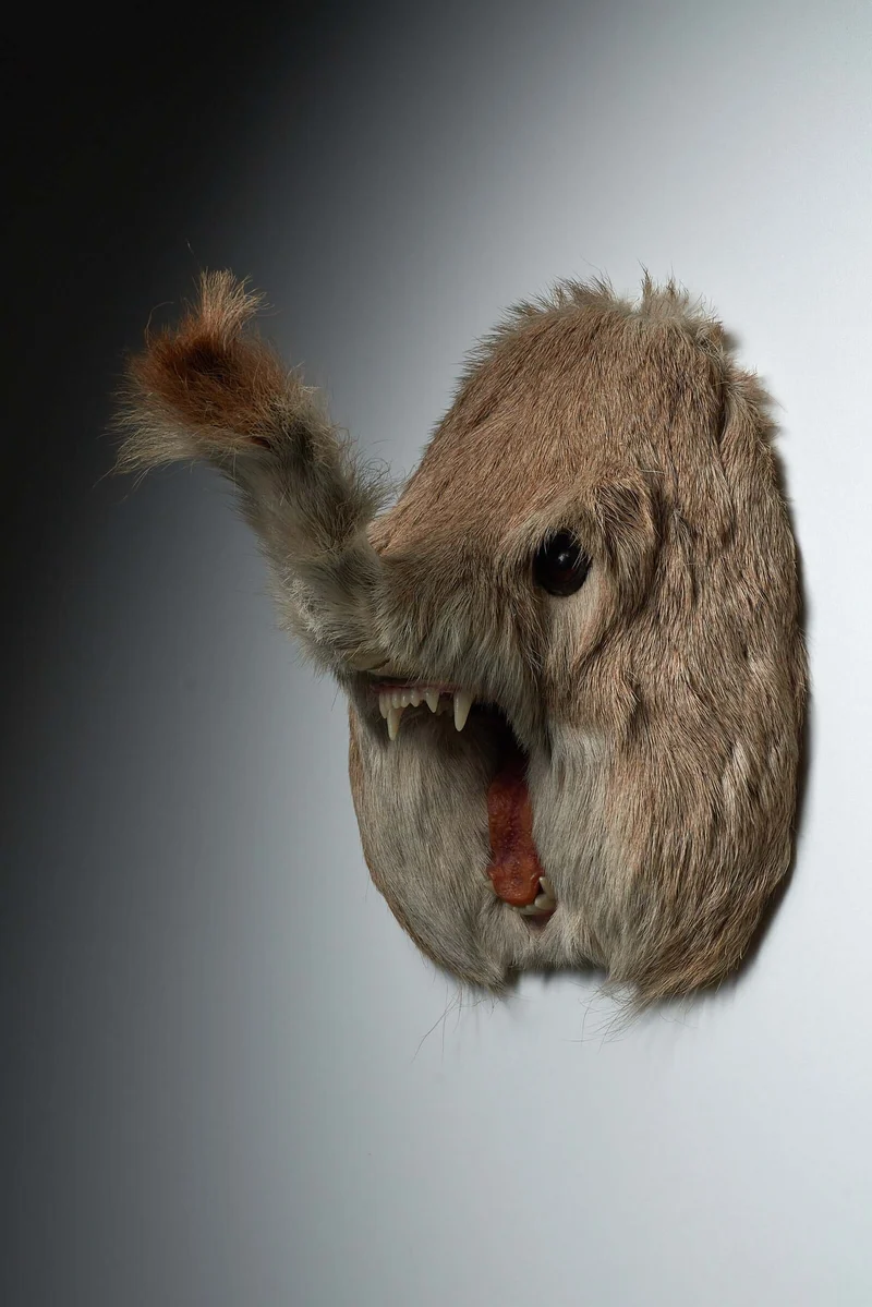 Unique Taxidermy Hybrid Wall Mount – "Slurfie”