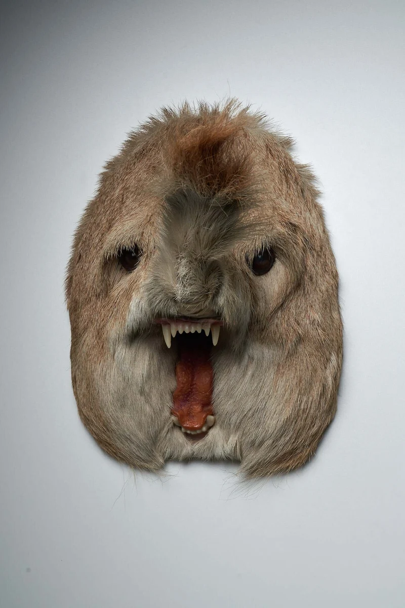 Unique Taxidermy Hybrid Wall Mount – "Slurfie”