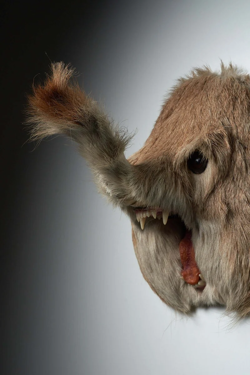 Unique Taxidermy Hybrid Wall Mount – "Slurfie”