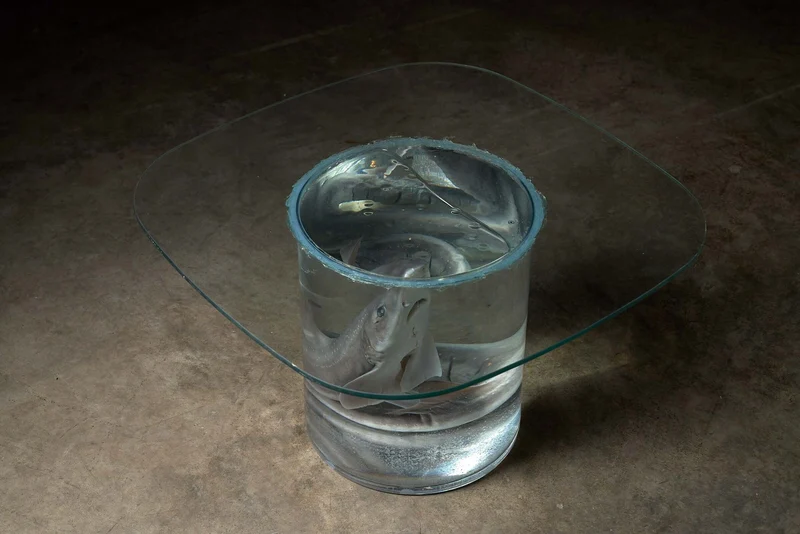 Shark on Formaldehyde Side Table, Taxidermy