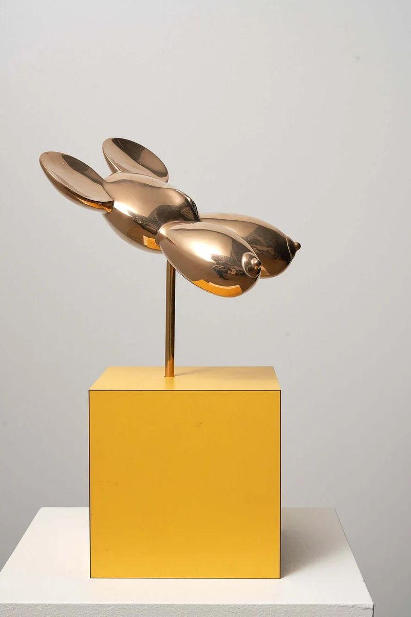 MIMA by Eduard Van Giel