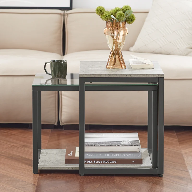 SoBuy FBT35-HG Lot de 2 Tables Basses Gigognes Tables de Salon, Set de 2 Tables d'appoint Empilables, Gris