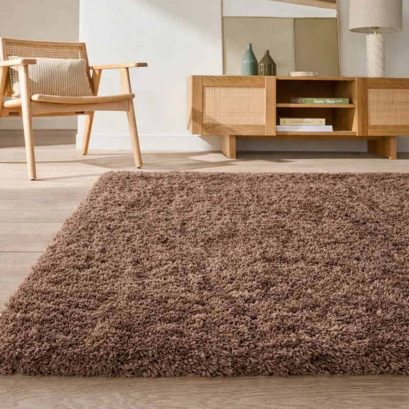 Tapis shaggy poils longs MAOTA marron LA REDOUTE INTERIEURS 200x290cm