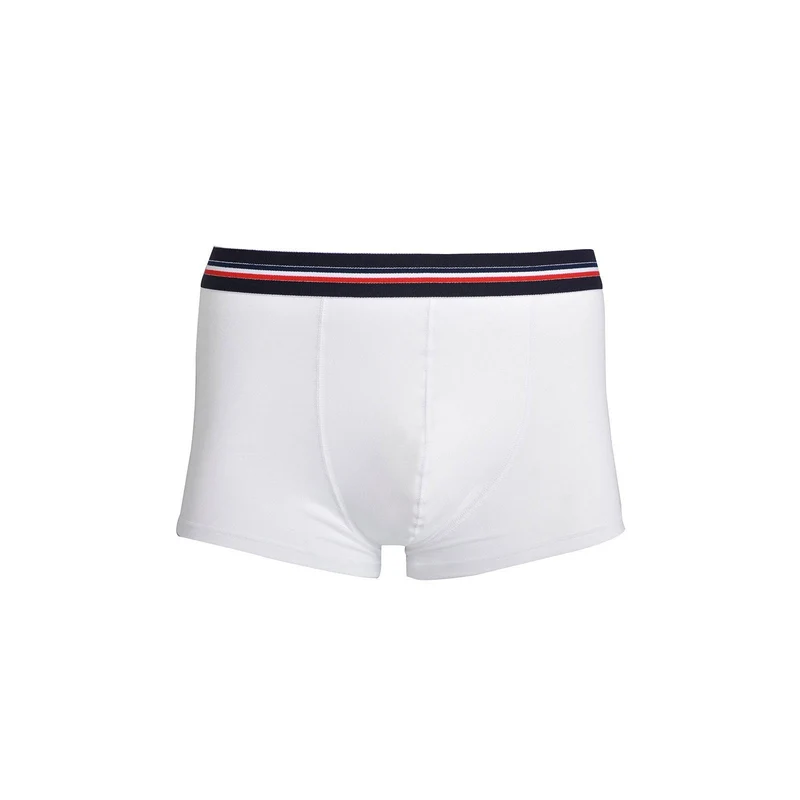 Boxer français blanc