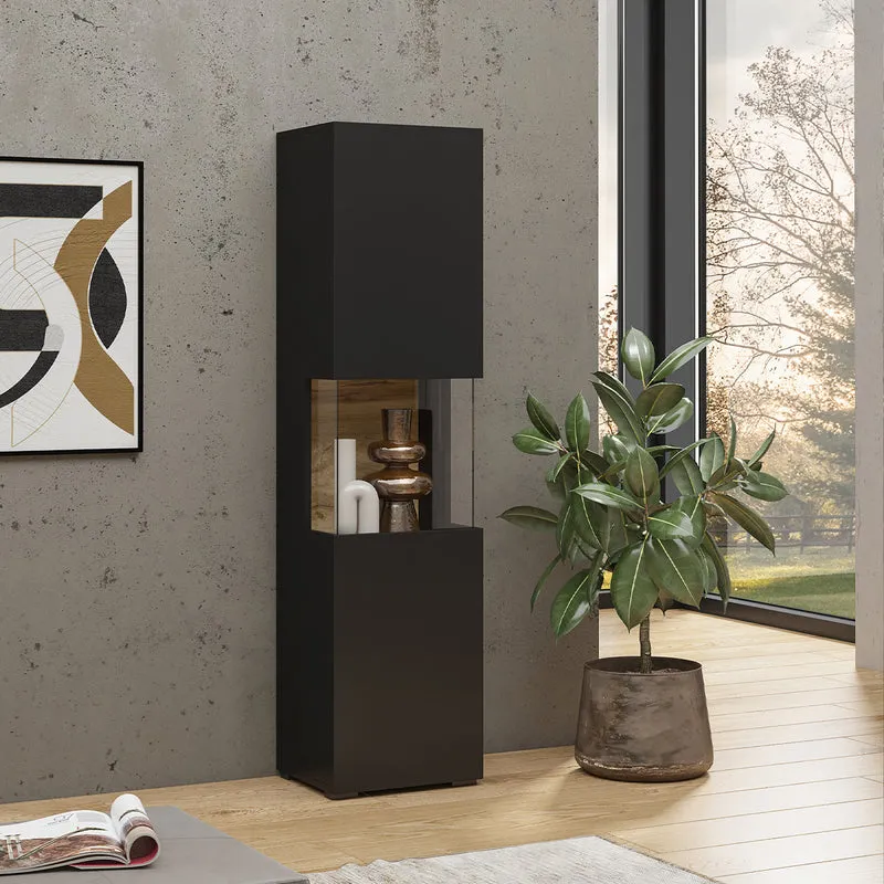 Vitrine 1 porte Glora Noir et Bois