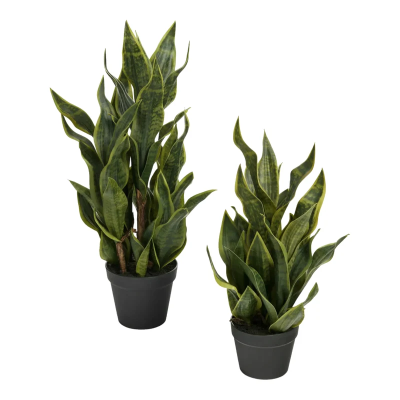 Plante artificielle - Sansevieria