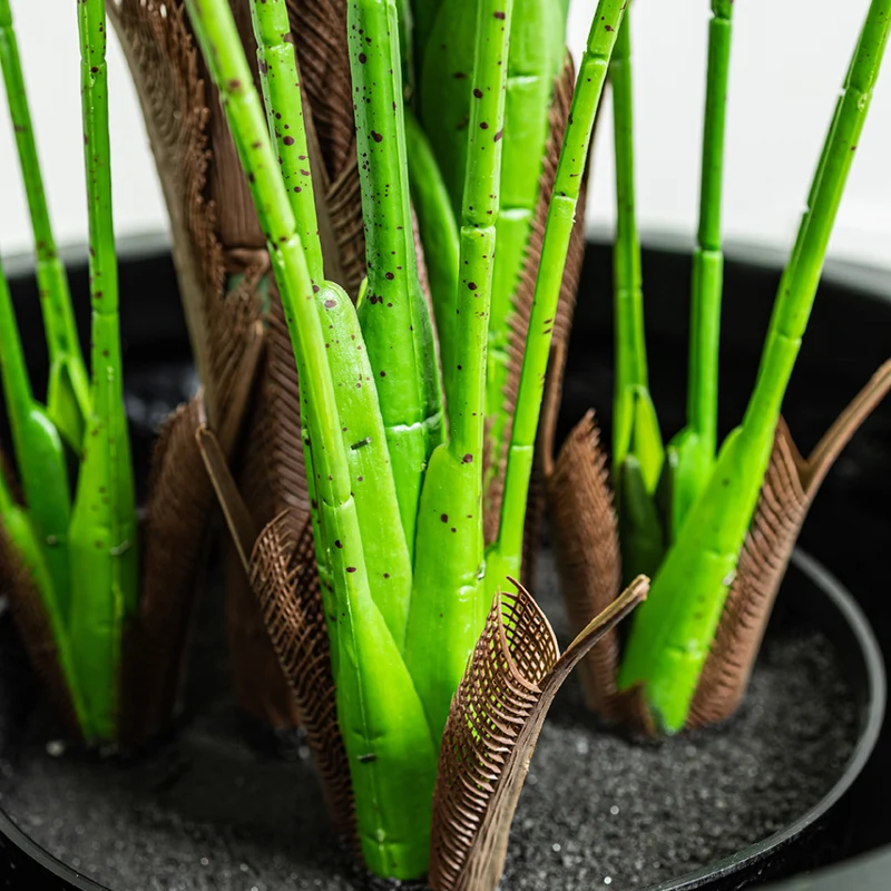Plante artificielle - Palmier
