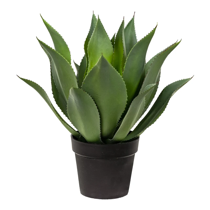 Plantes artificielles - Agave