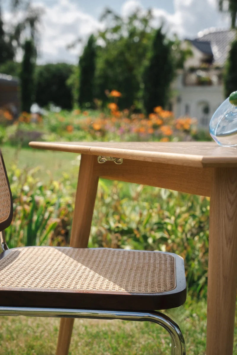 Table DANI – Extensible