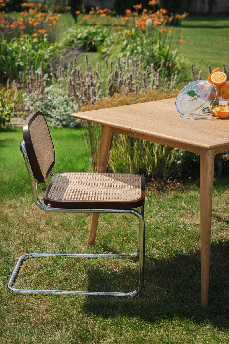 Table DANI – Extensible