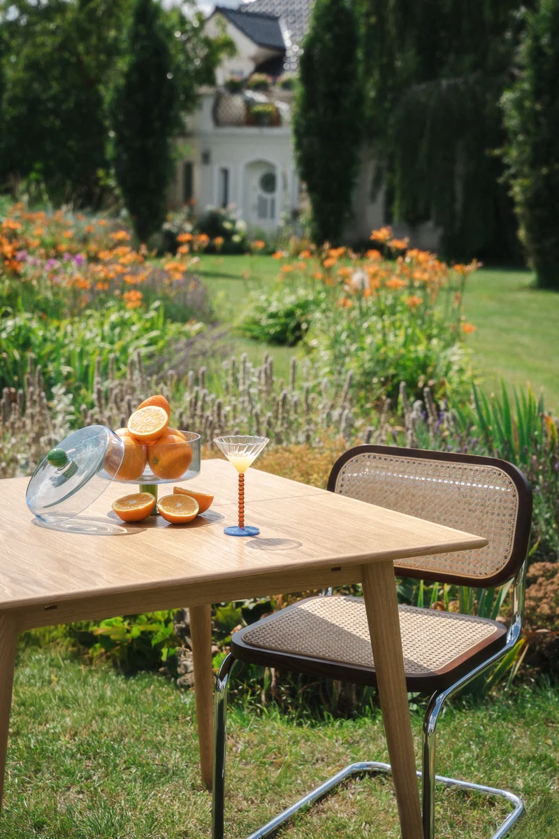 Table DANI – Extensible