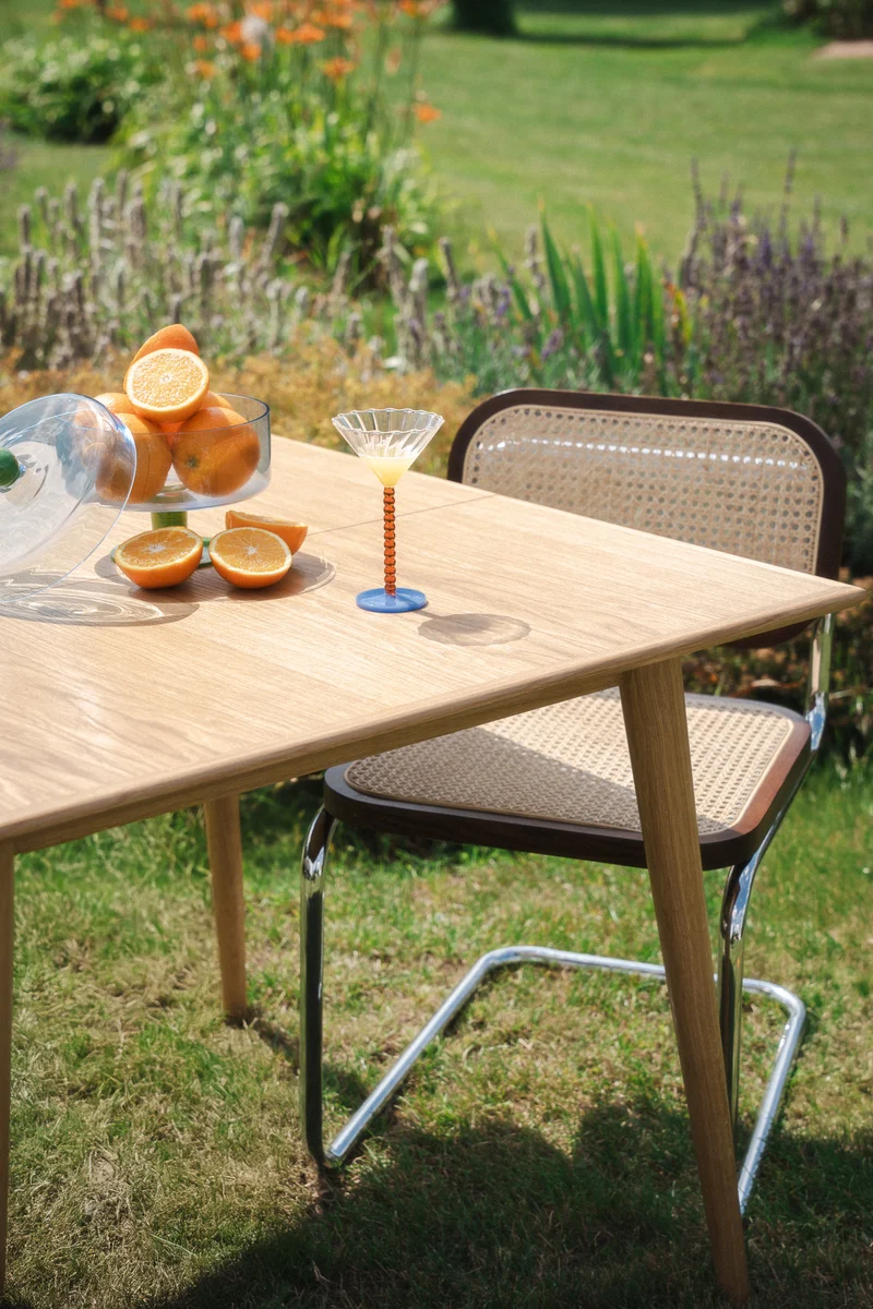Table DANI – Extensible
