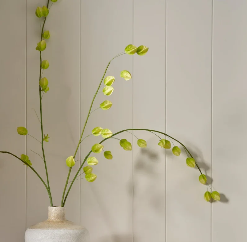 Physalis Spray, Green