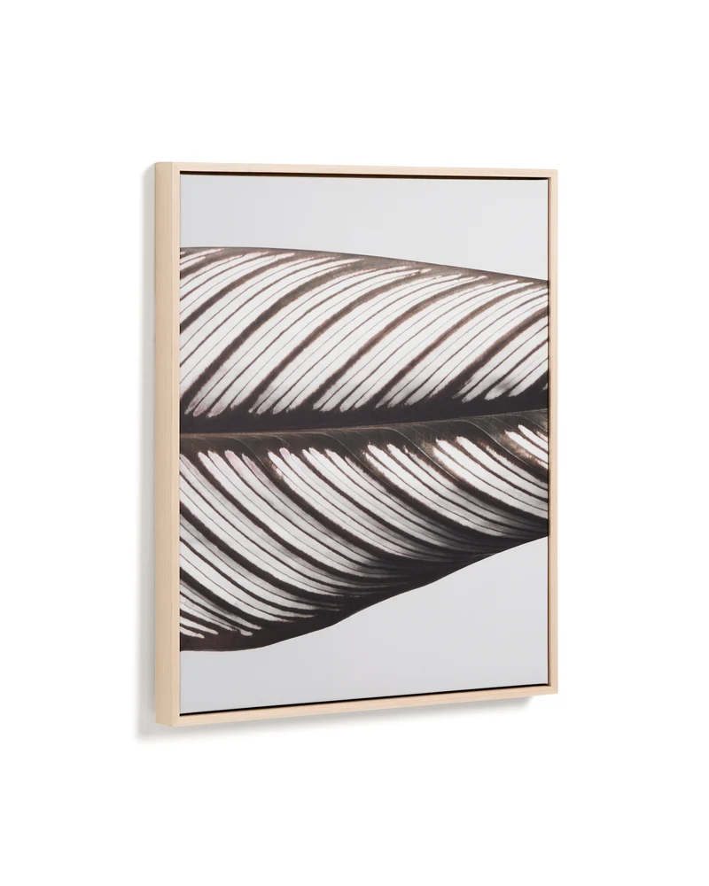 Foliae leaf photograph picture 52.5 x 62.5cm