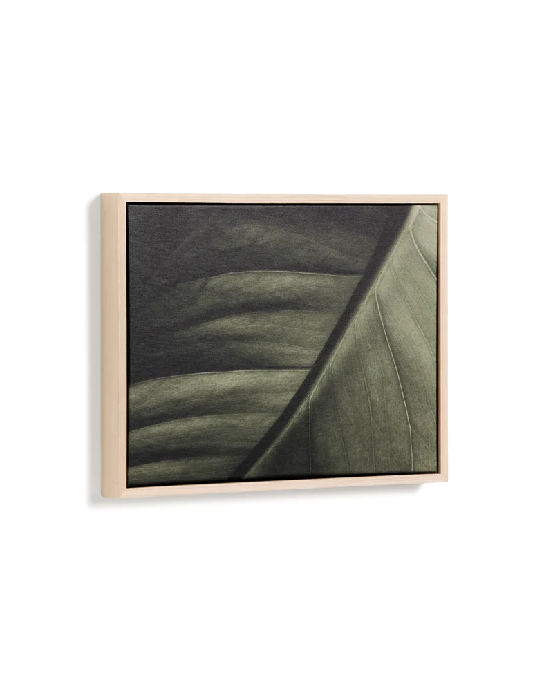Foliae leaf photograph picture 32.5 x 42.5cm