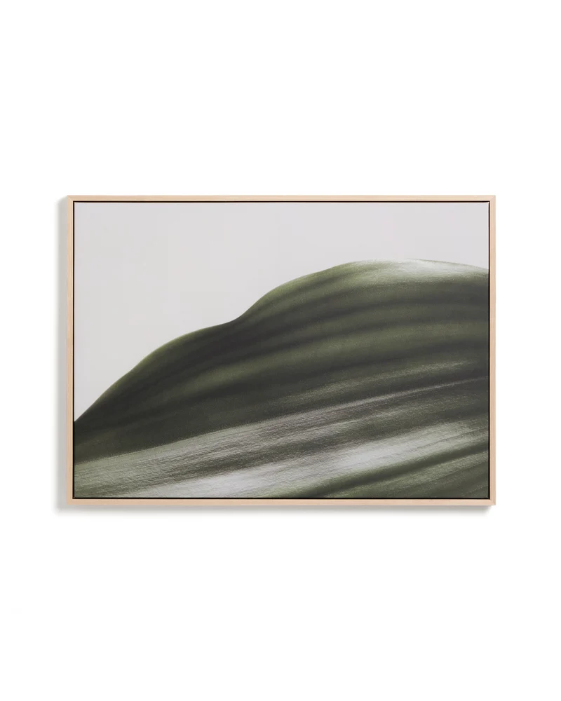 Foliae leaf photograph picture 52 x 72cm