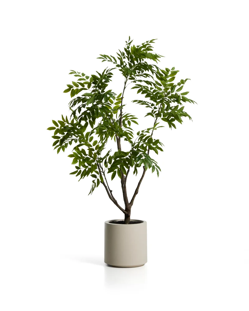 Artificial Rhus tree with white pot 185cm