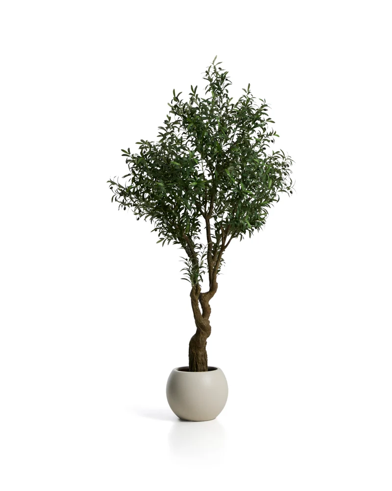 Artificial Olive tree with white pot 210cm
