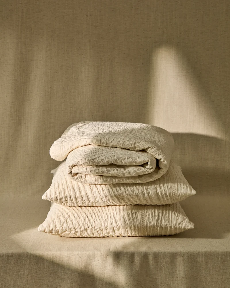 Raylo set of 2 cushion covers