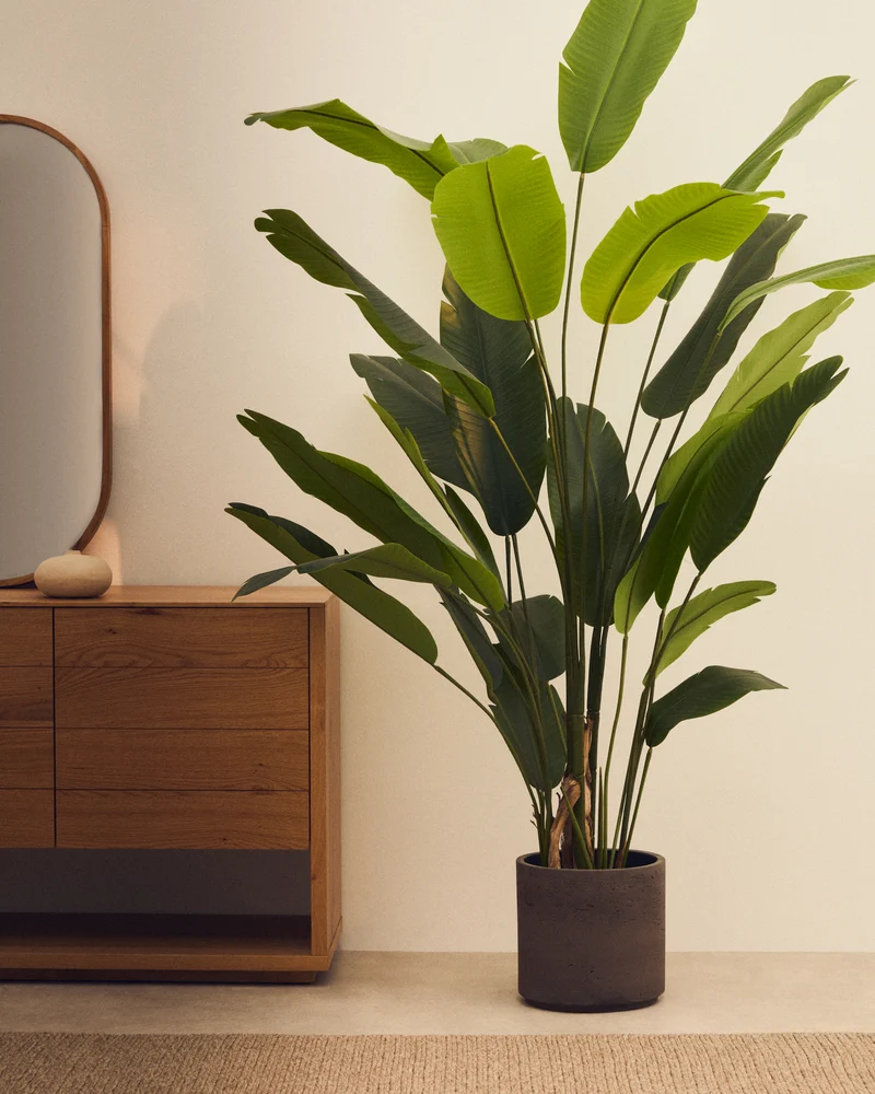 Artificial Banana plant in black pot 210 cm