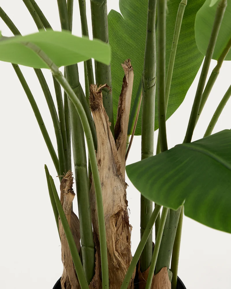 Artificial Banana plant in black pot 210 cm
