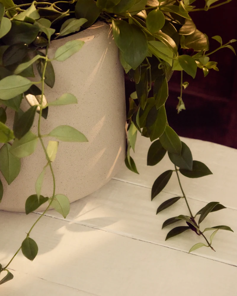 Calun beige cement planter Ø 32cm