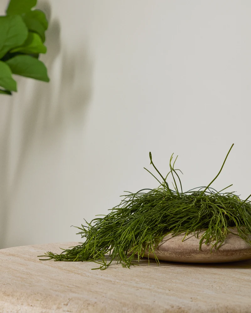 Rivor terracotta planter with natural finish Ø 50cm