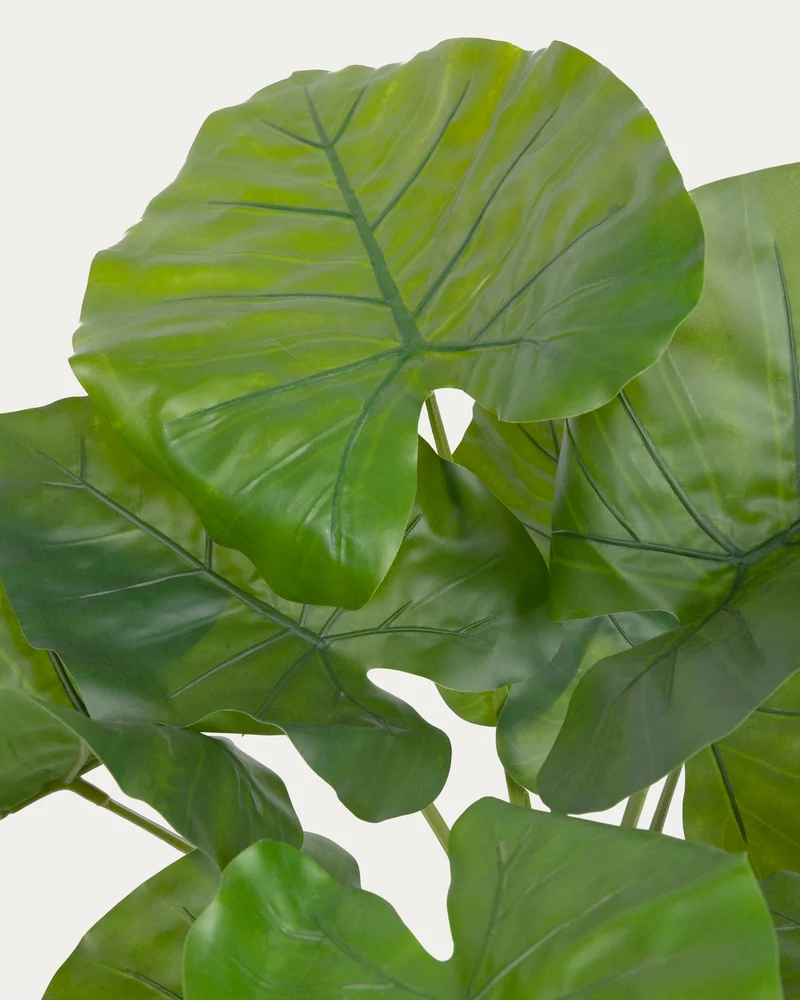 Artificial Alocasia Odora with black plantpot 57 cm