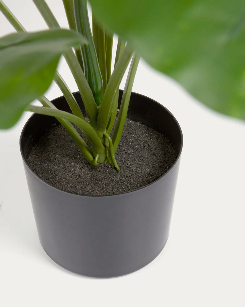Artificial Alocasia Odora with black plantpot 57 cm