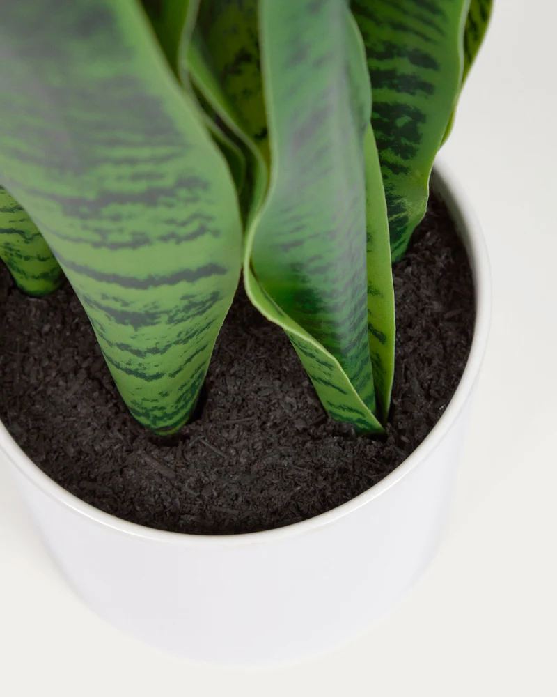 Artificial Sansevieria with white plantpot 55 cm