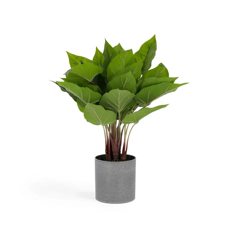 Anthurium artificial plant 50 cm