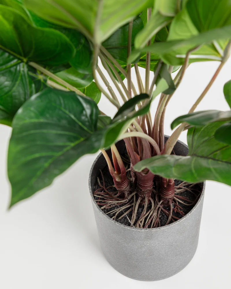 Anthurium artificial plant 50 cm