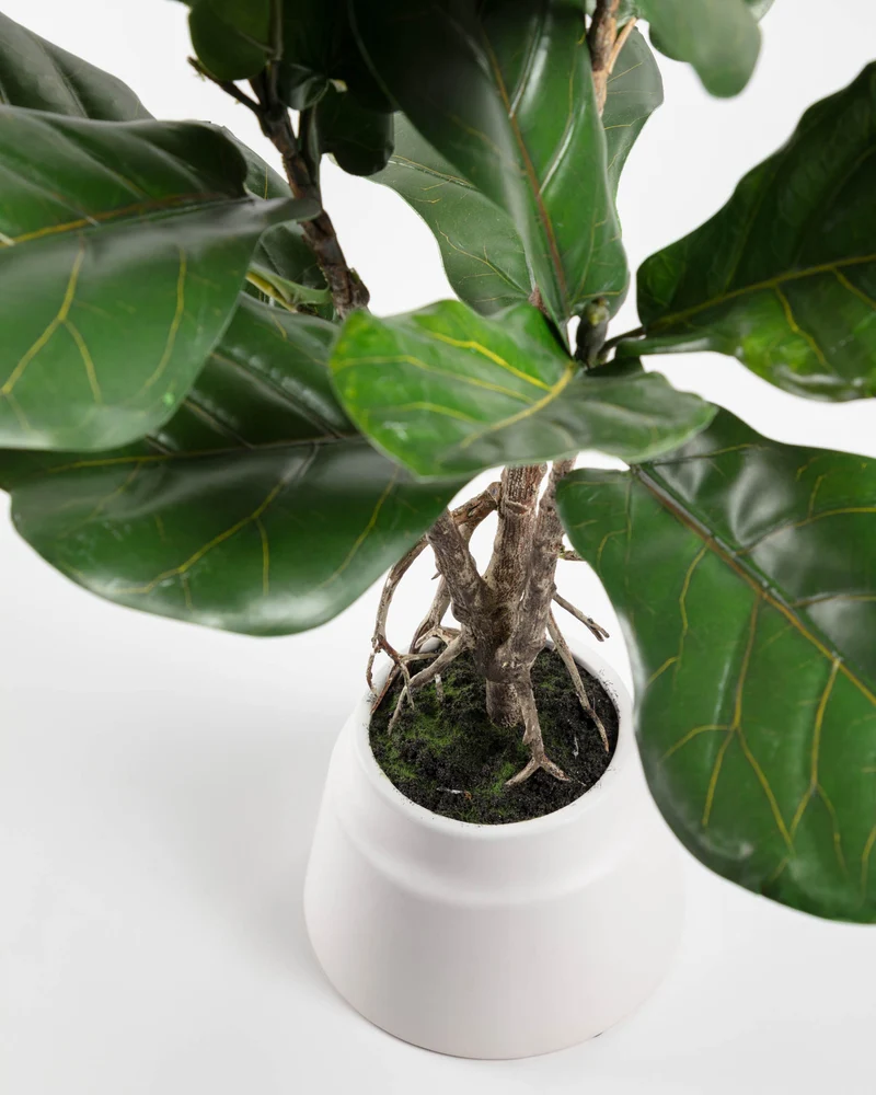 Lyrata artificial plant 60 cm