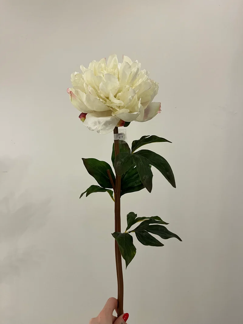 Peony White Stem