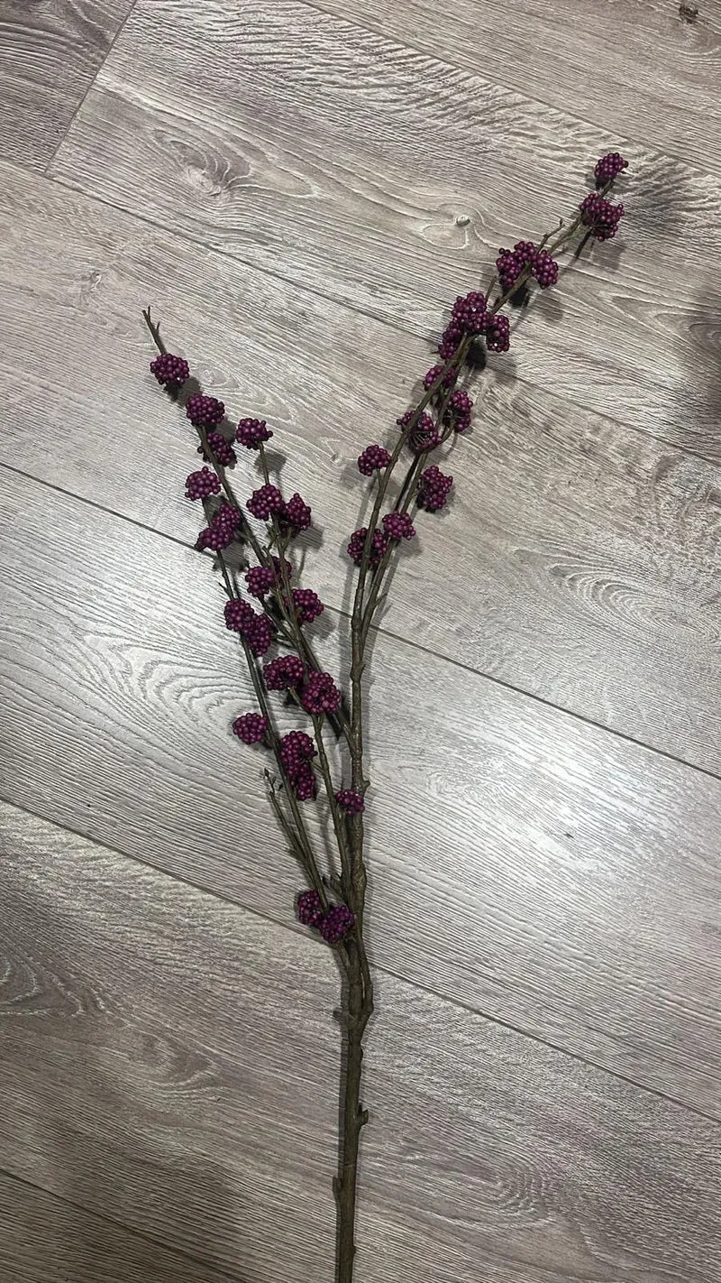 Callicarpa Twig